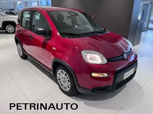 Fiat Panda Pandina 1.0 firefly hybrid Icon s&s 65cv KM0 foto 3
