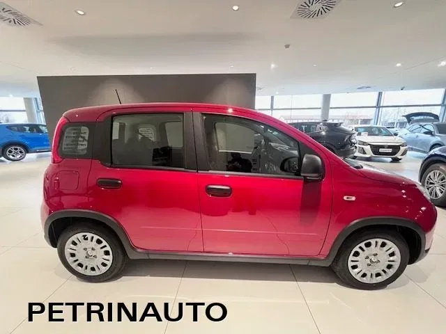 Fiat Panda Pandina 1.0 firefly hybrid Icon s&s 65cv KM0 foto 4