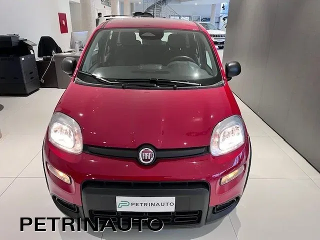 Fiat Panda Pandina 1.0 firefly hybrid Icon s&s 65cv KM0 foto 2