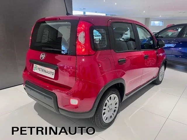 Fiat Panda Pandina 1.0 firefly hybrid Icon s&s 65cv KM0 foto 6