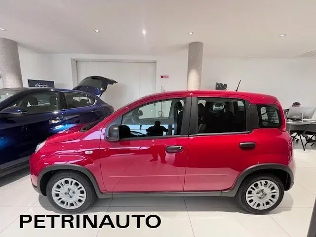 Fiat Panda Pandina 1.0 firefly hybrid Icon s&s 65cv KM0 foto 5