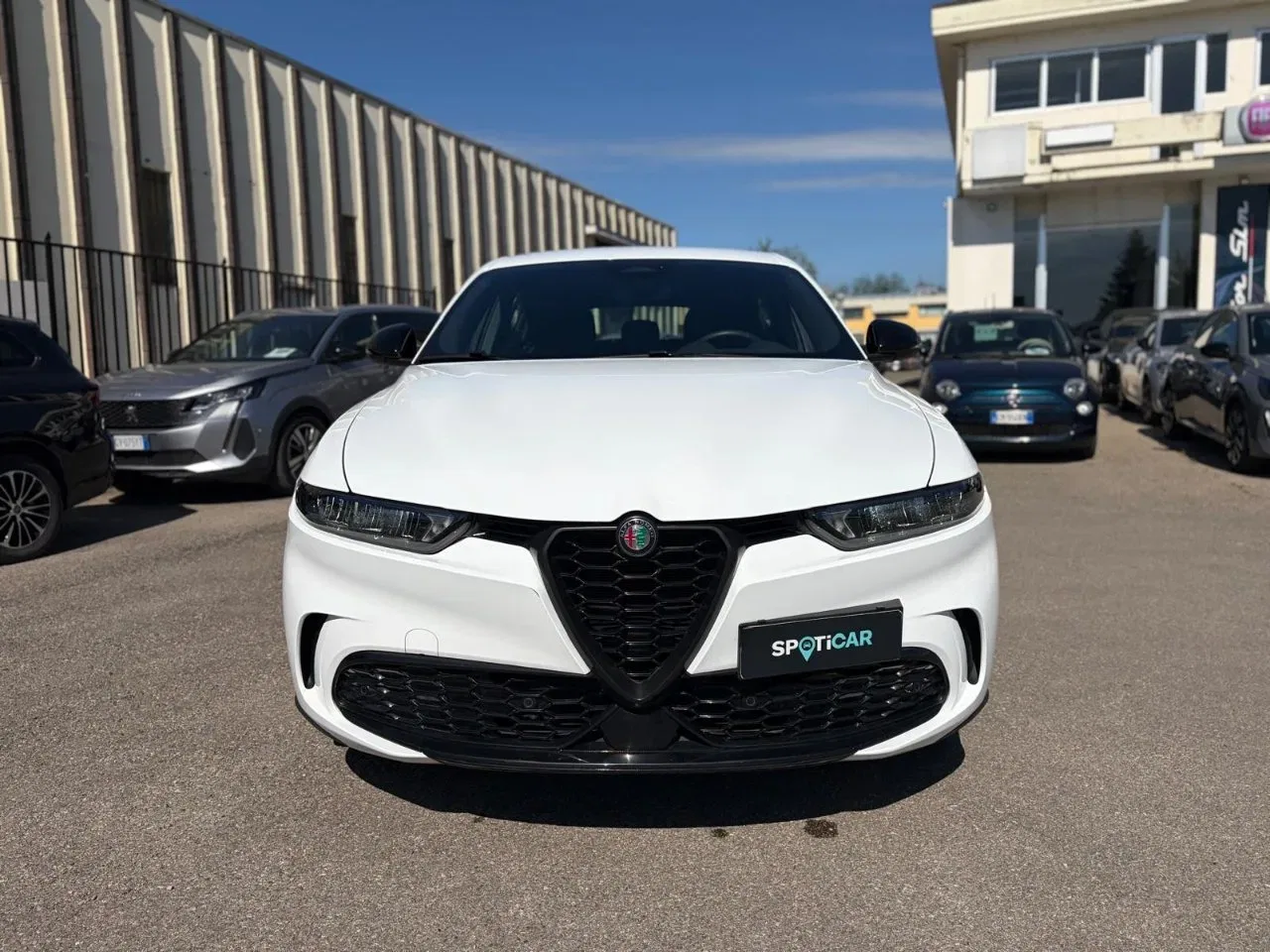 Alfa Romeo Tonale PROMO 1.6 Sprint 130cv tct6 foto 2