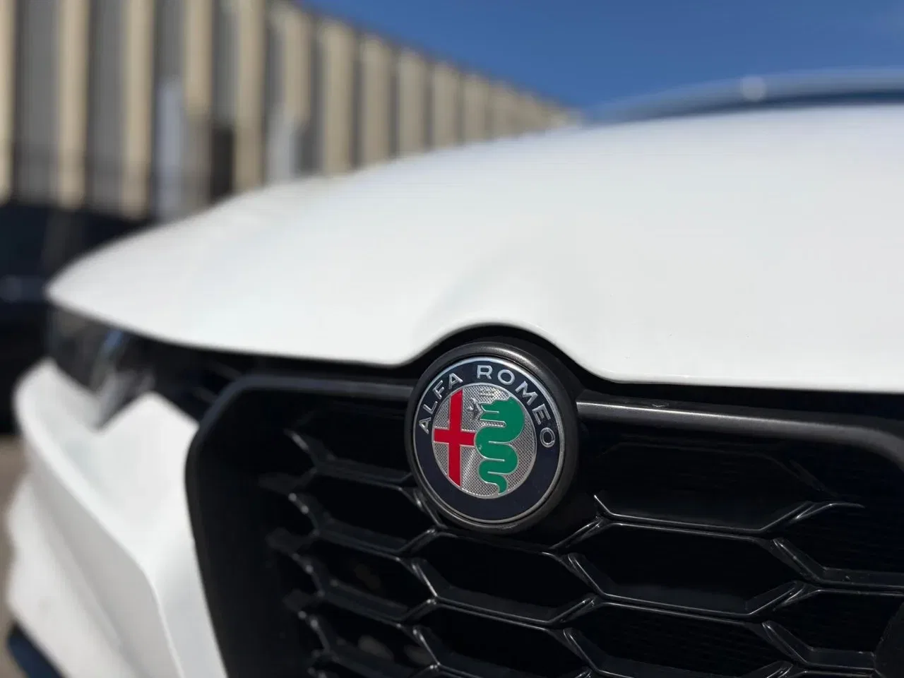 Alfa Romeo Tonale PROMO 1.6 Sprint 130cv tct6 foto 35