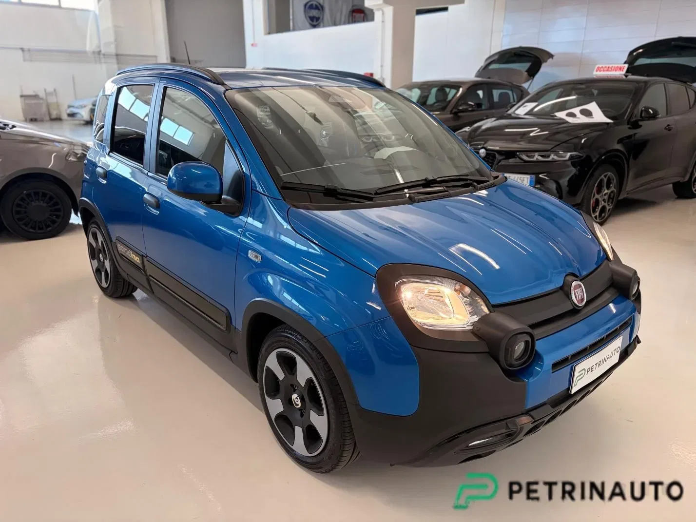 FIAT Panda 1.0 FireFly S&S Hybrid Pandina Cross 5 Posti Km.0 foto 3