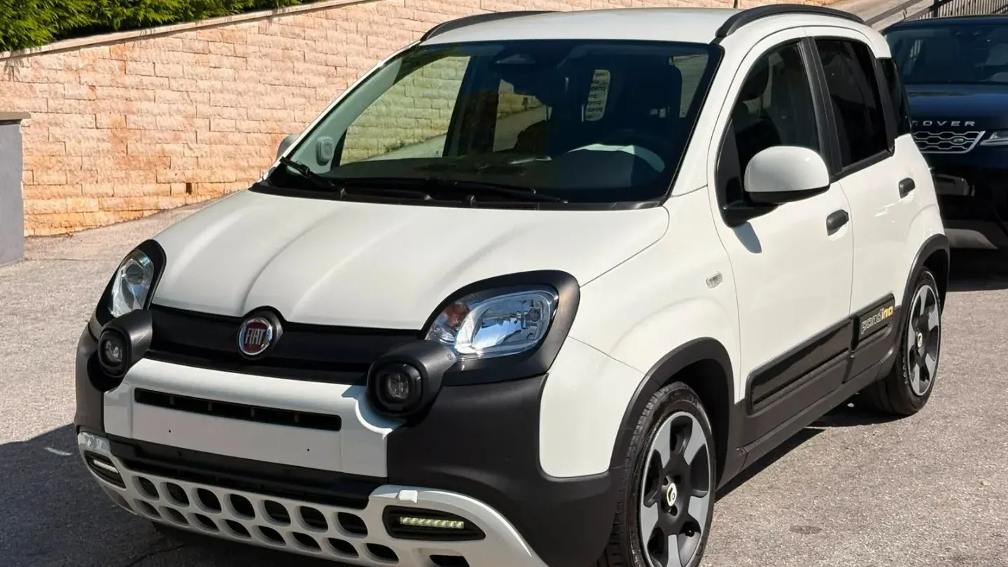 Fiat Panda 1.0 FireFly S&S Hybrid Pandina