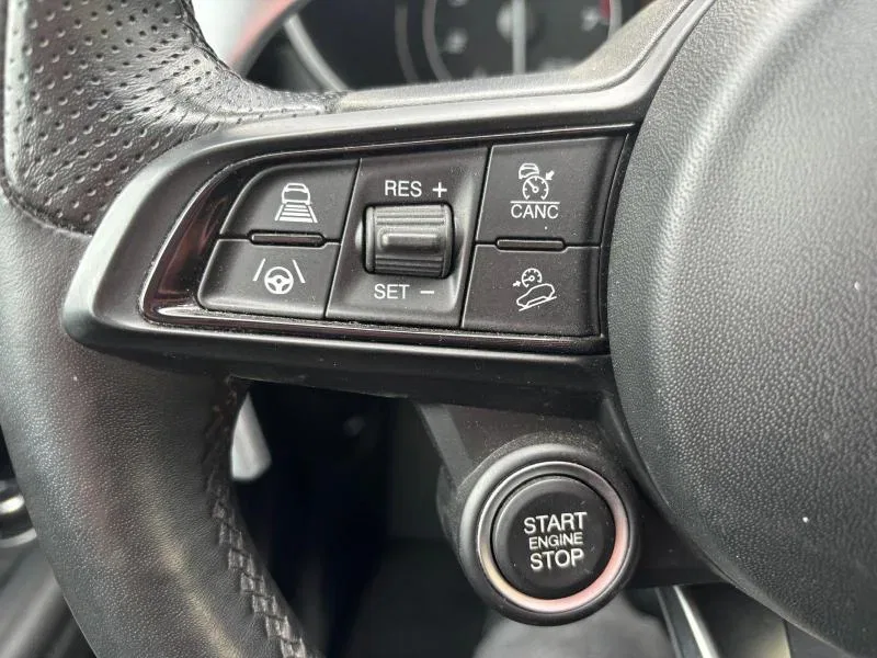 Alfa Romeo Stelvio *PROMO* 2.0 Turbo 280 CV AT8 Q4 Veloce foto 19