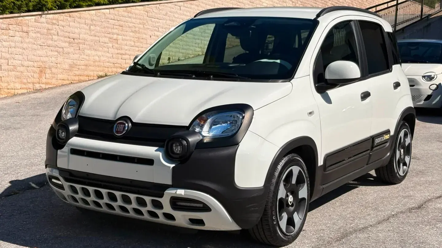 Fiat Panda 1.0 FireFly S&S Hybrid Pandina