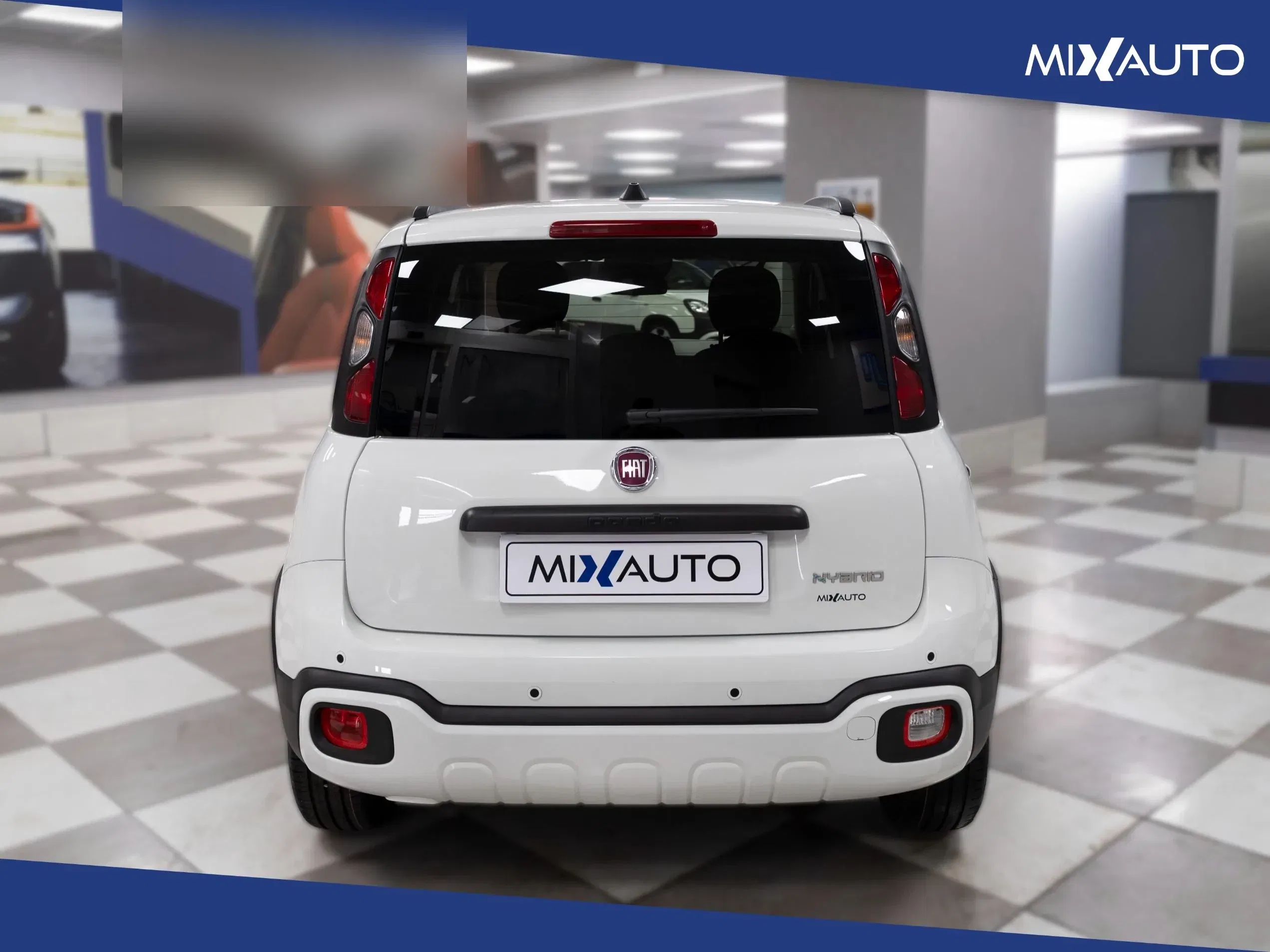 Fiat Panda Pandina Cross 1.0 Firefly Hybrid S&S 70CV foto 4