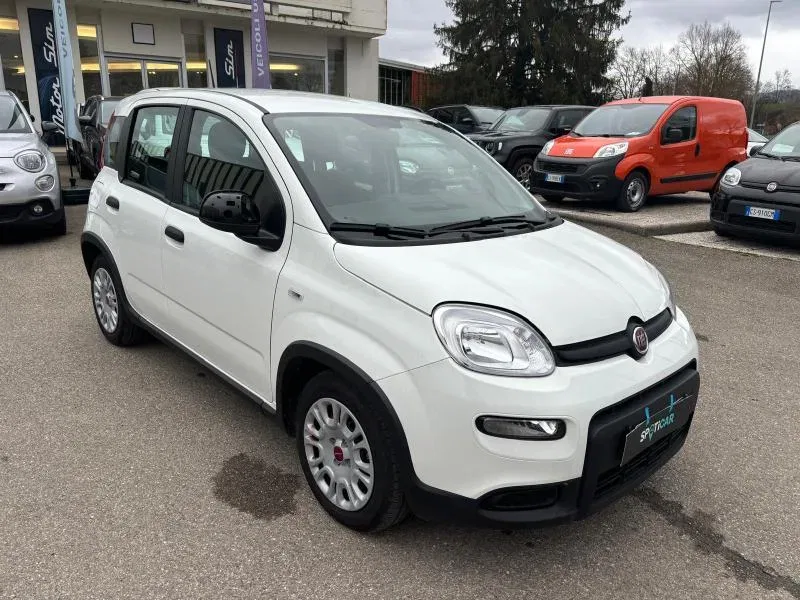 Fiat Panda *PROMO*1.0 firefly hybrid s&s 70cv 5p.ti foto 3