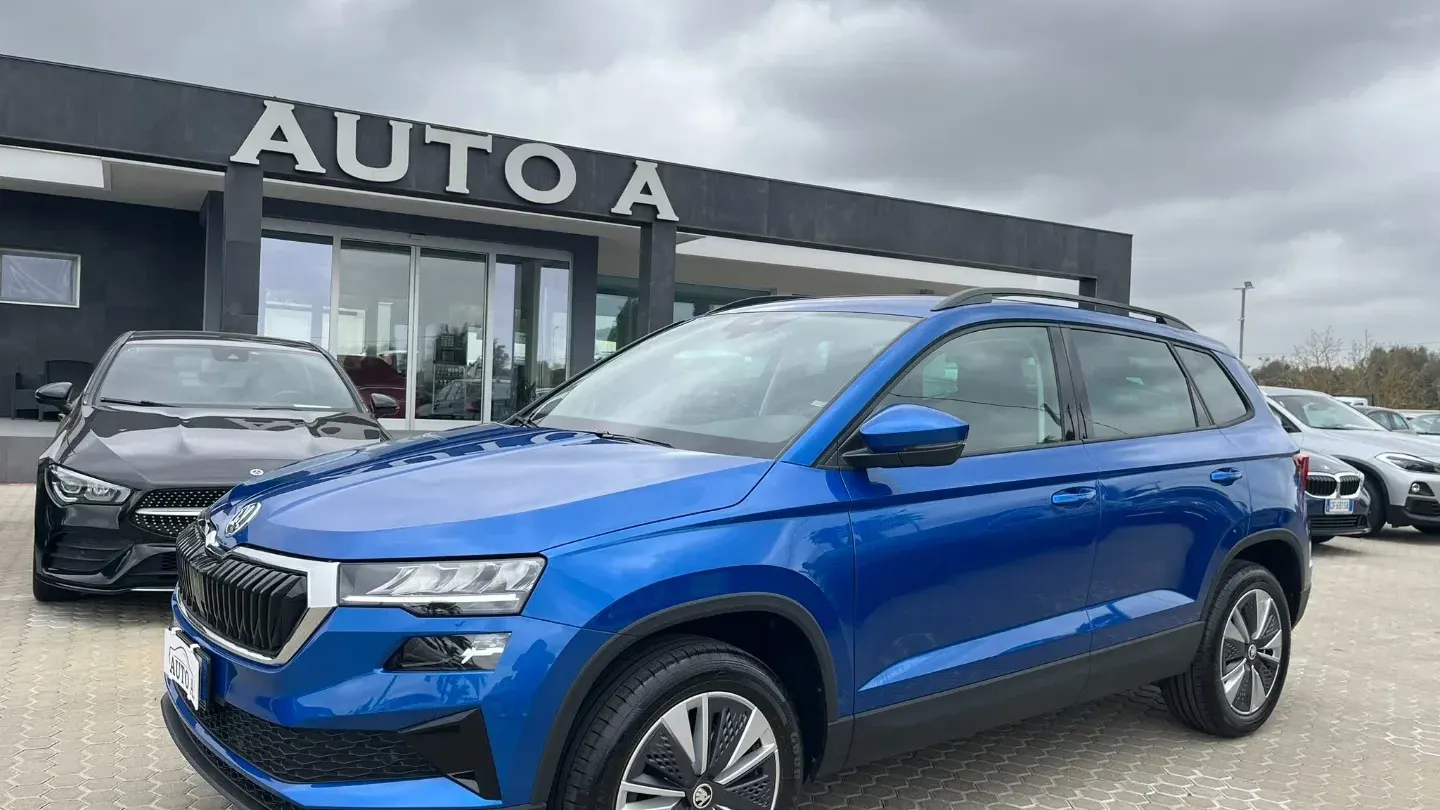 Skoda Karoq 2.0 TDI 115 CV Selection