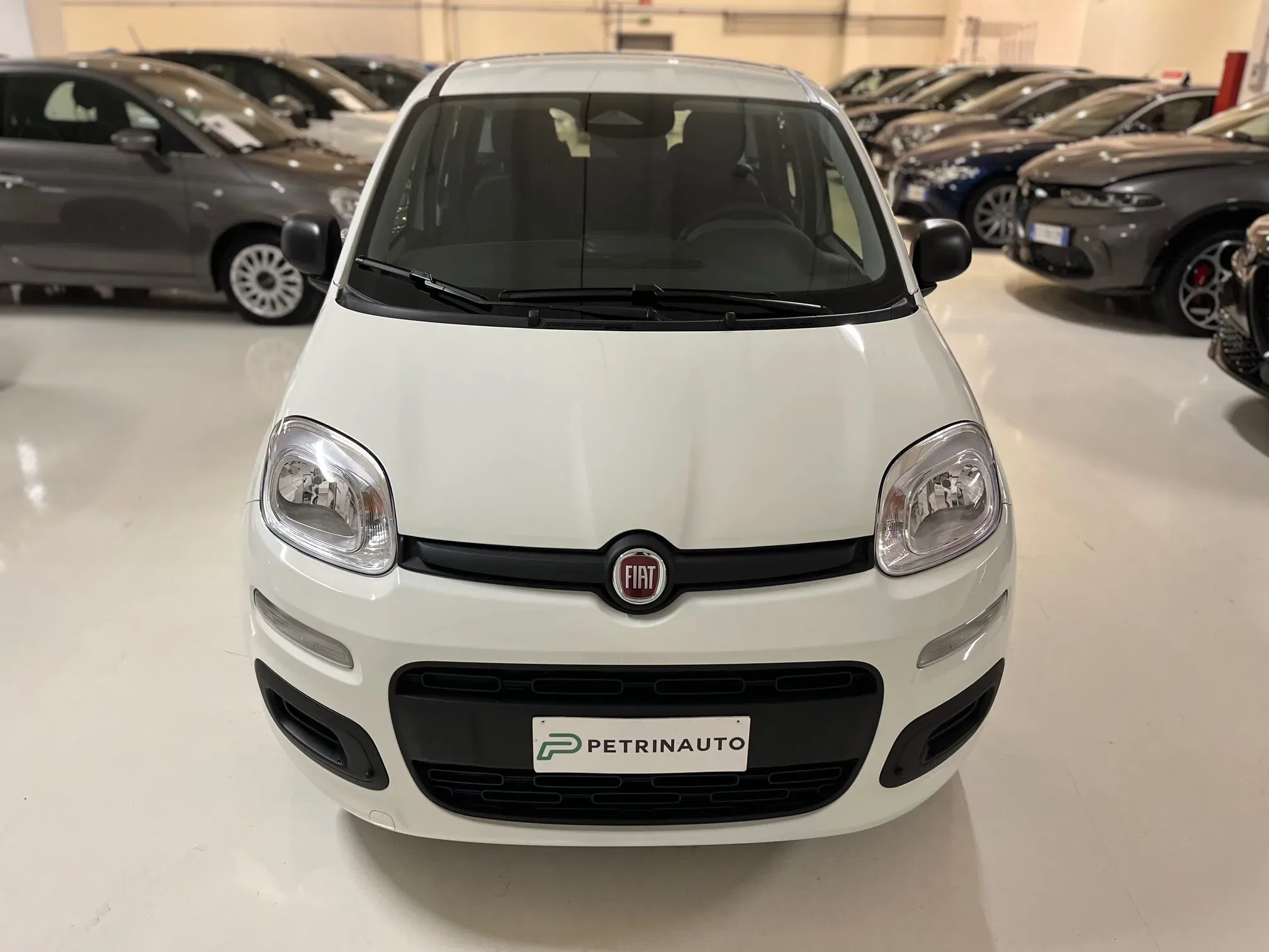 Fiat Panda 1.0 firefly hybrid Icon s&s 65cv foto 2