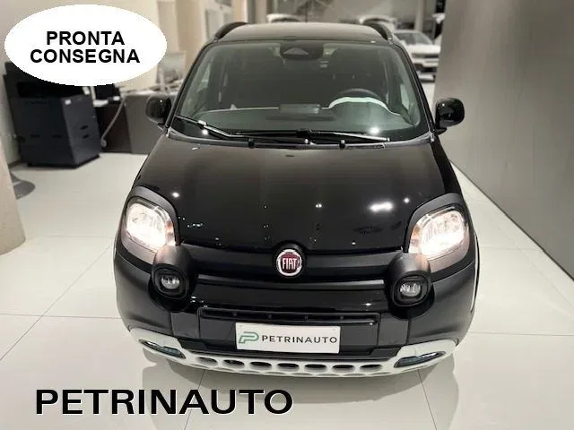 Fiat Panda 1.0 FireFly S&S Hybrid Pandina Cross 5 Posti Km.0 foto 2