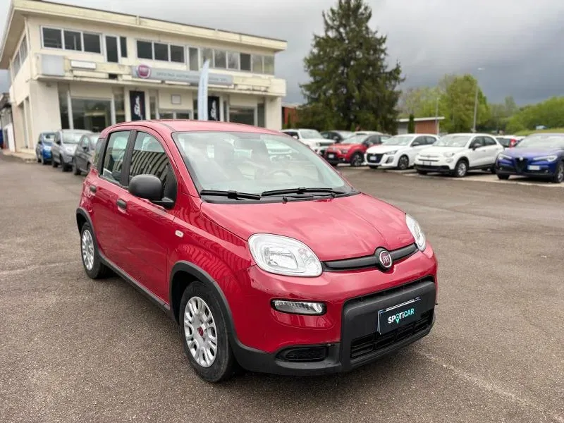 Fiat Panda PROMO 1.0 firefly hybrid s&s 70cv foto 3