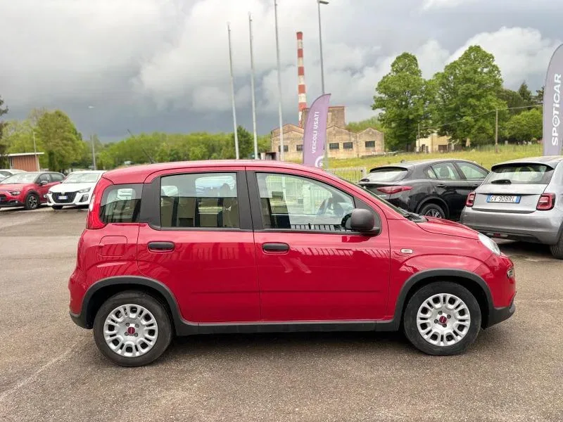 Fiat Panda PROMO 1.0 firefly hybrid s&s 70cv foto 4