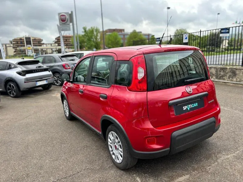 Fiat Panda PROMO 1.0 firefly hybrid s&s 70cv foto 7