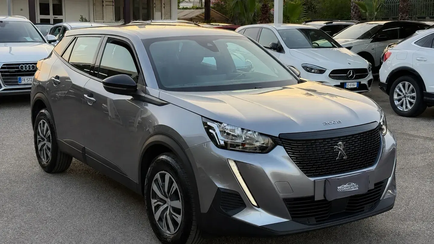 Peugeot 2008 BlueHDi 110 S&S Active