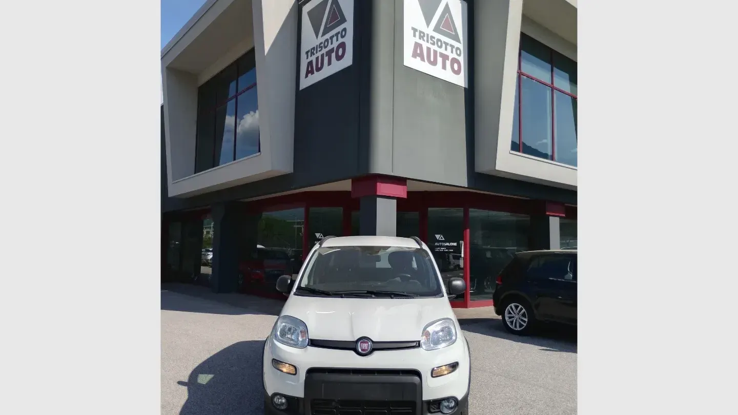 Fiat Panda 0.9 TwinAir Turbo 85CV Wild 4x4