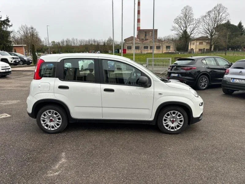 Fiat Panda *PROMO* 1.0 firefly hybrid s&s 70cv 5p.ti foto 4