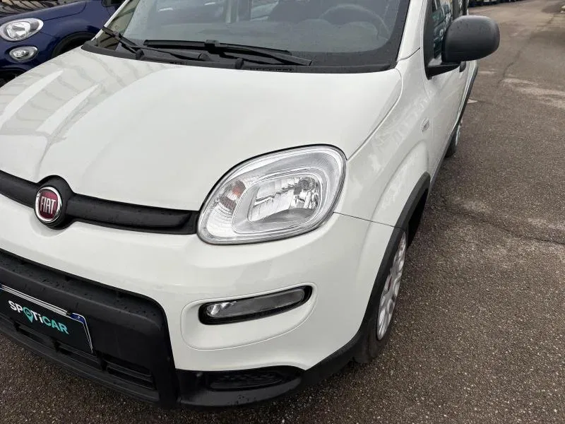 Fiat Panda *PROMO* 1.0 firefly hybrid s&s 70cv 5p.ti foto 15