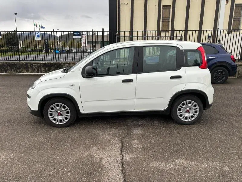 Fiat Panda *PROMO* 1.0 firefly hybrid s&s 70cv 5p.ti foto 18