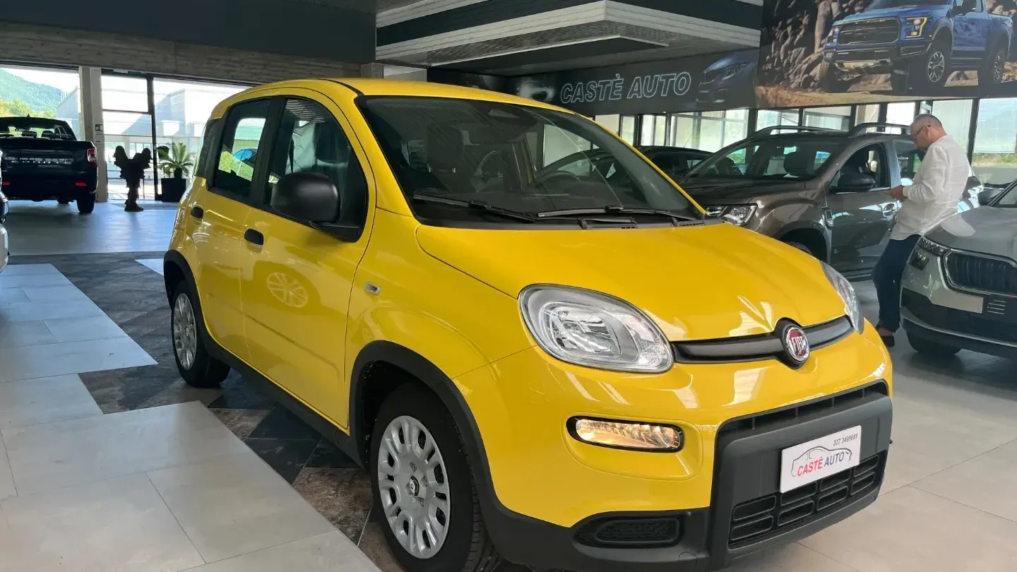 Fiat Panda 1.0 FireFly S&S Hybrid