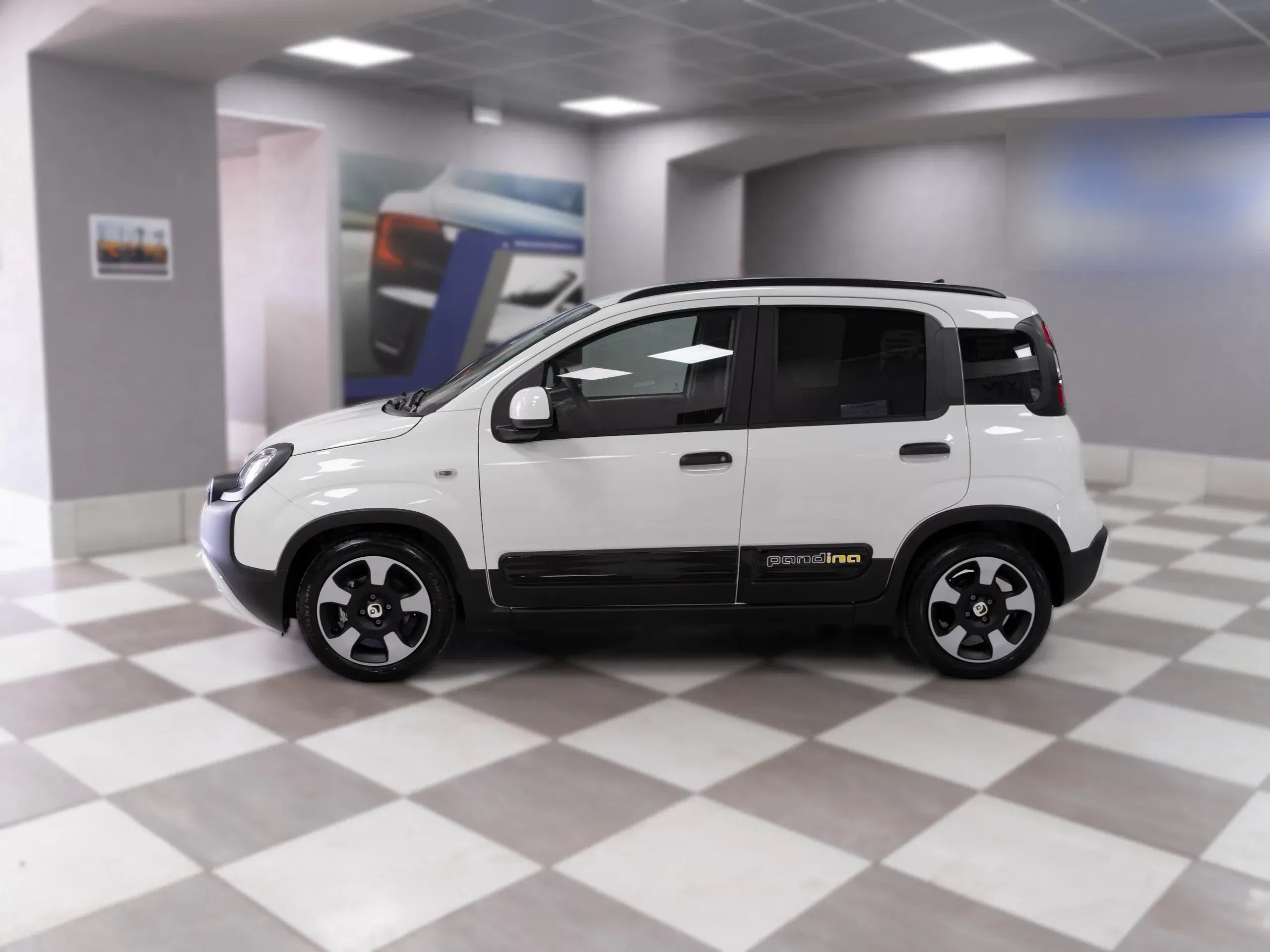 Fiat Panda Pandina Cross 1.0 Firefly Hybrid S&S 70CV foto 3