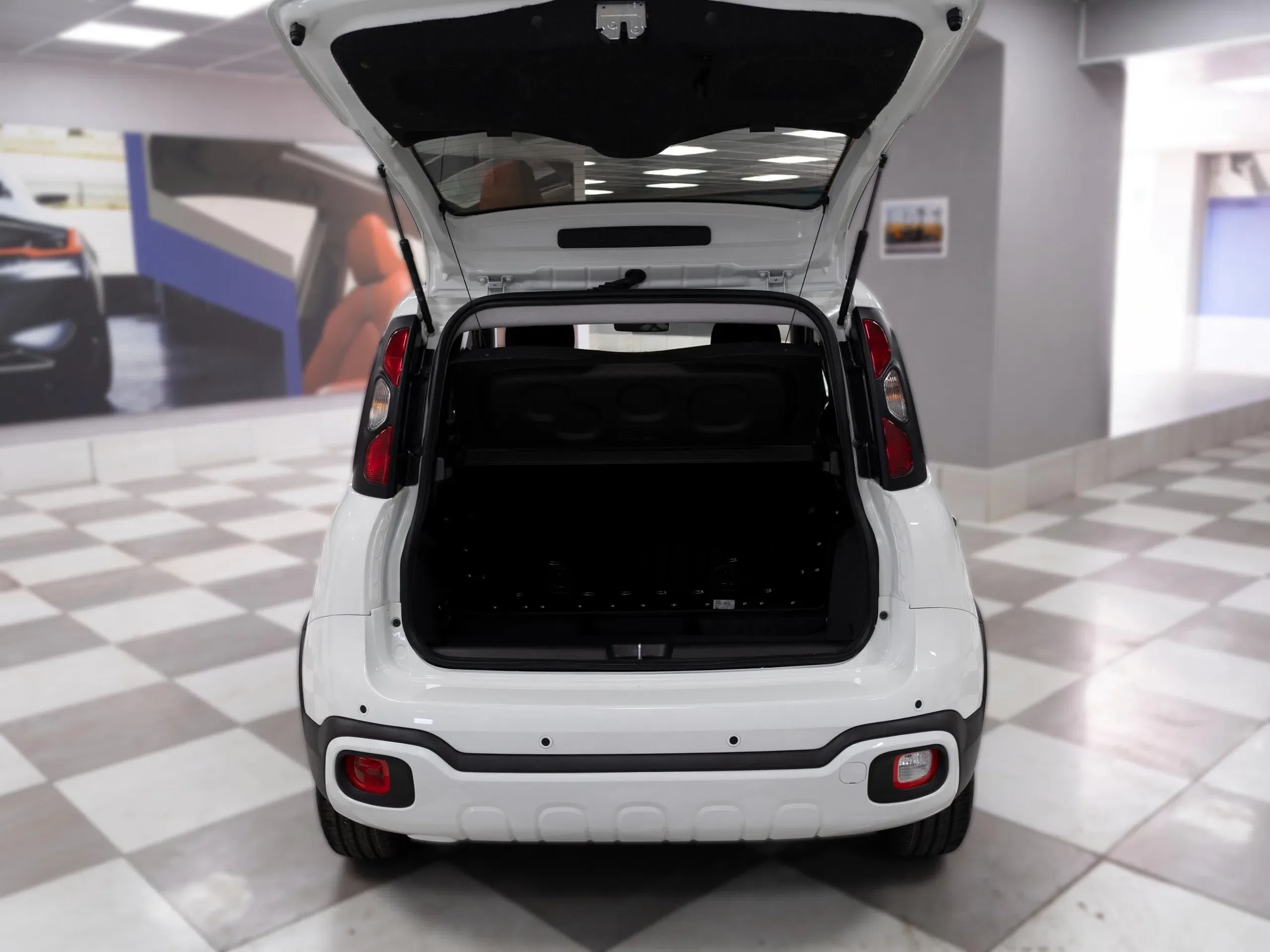 Fiat Panda Pandina Cross 1.0 Firefly Hybrid S&S 70CV foto 7