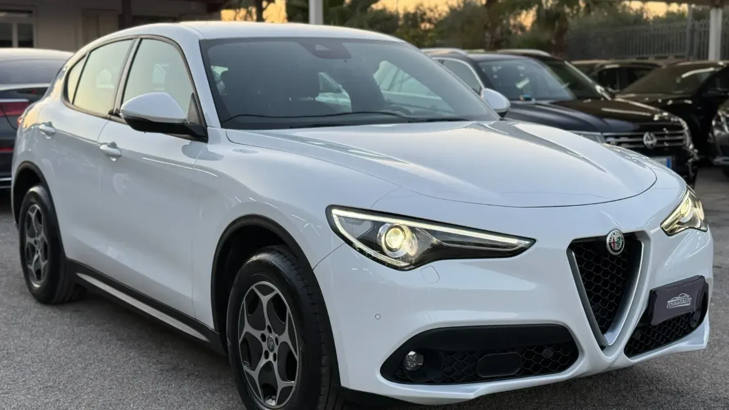 Alfa Romeo Stelvio 2.2 T.d. 190 CV AT8 Q4 Sup. Bus.