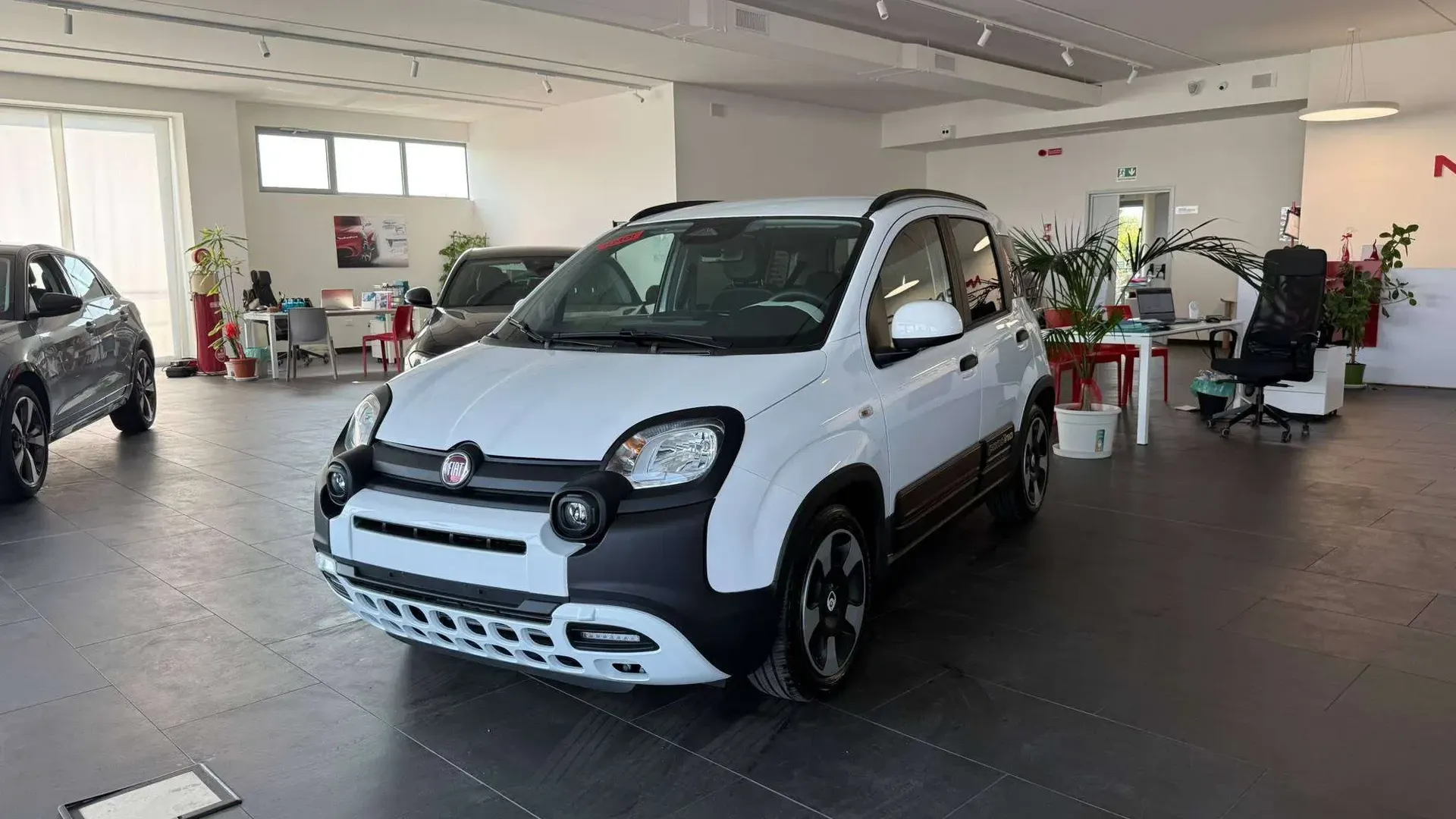 Fiat Panda Pandina Cross 1.0 firefly hybrid s