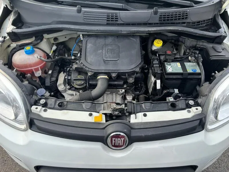 Fiat Panda *PROMO*1.0 firefly hybrid s&s 70cv 5p.ti foto 19