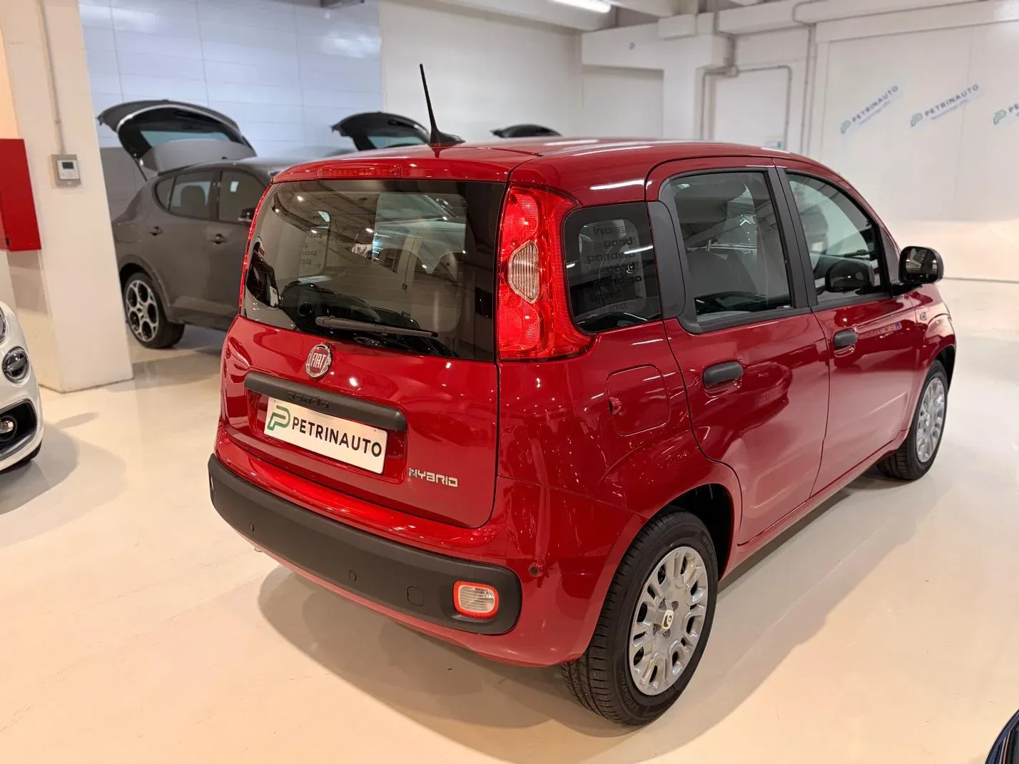 Fiat Panda 1.0 firefly hybrid Icon s&s 70cv 5p.ti Km0 foto 6