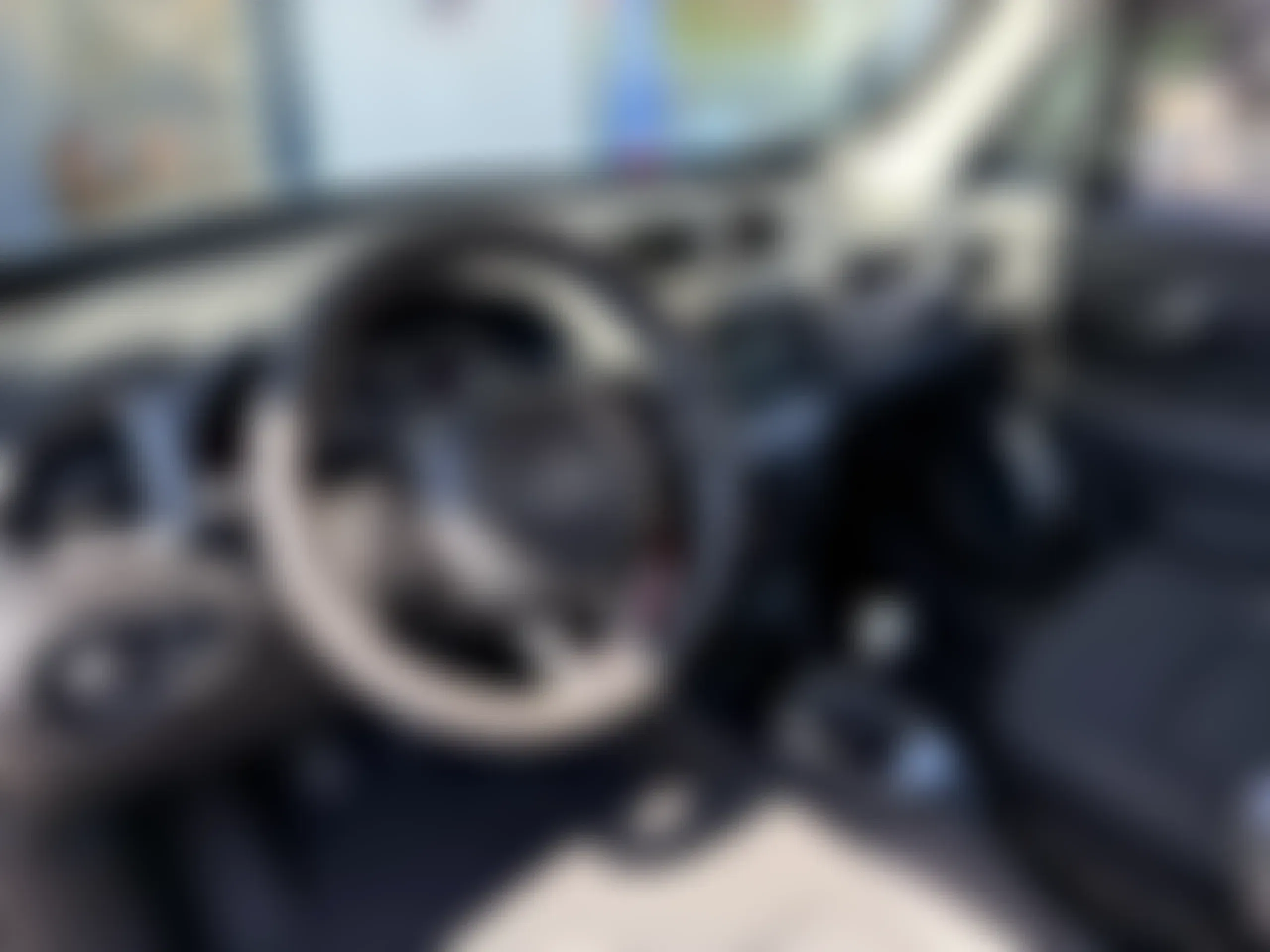 Jeep Renegade 1.6 mjt Limited 2wd 130cv foto 5