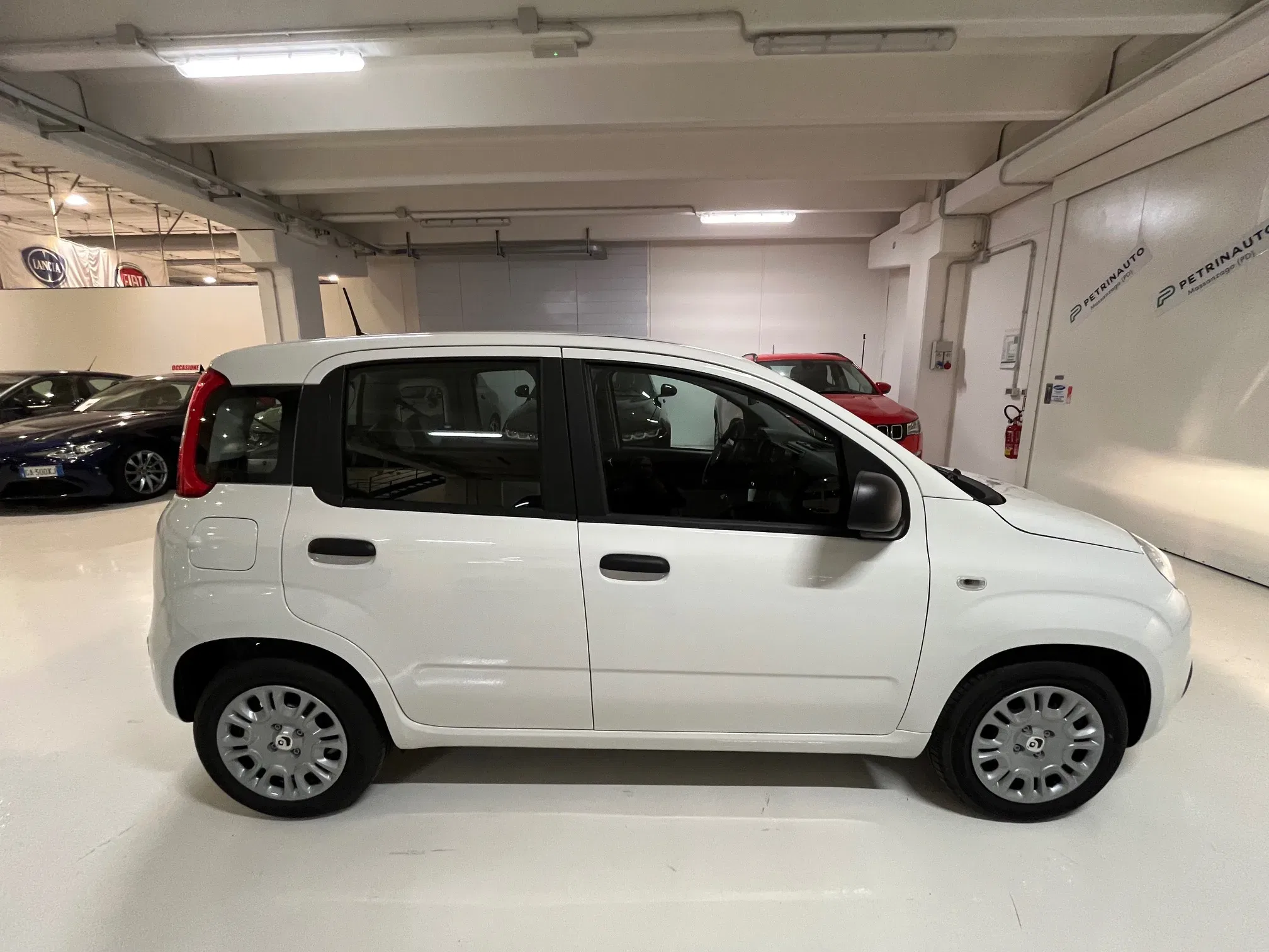 Fiat Panda Pandina 1.0 firefly hybrid Icon s&s 65cv 5p.ti Km0 foto 4