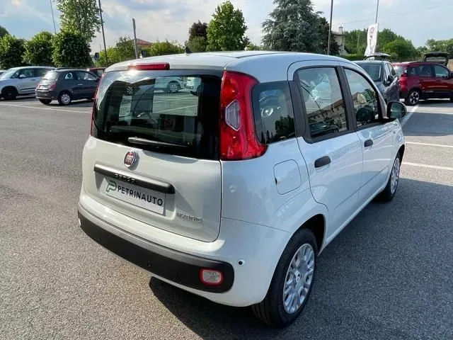 Fiat Panda 1.0 firefly hybrid Pop s&s 65cv foto 8