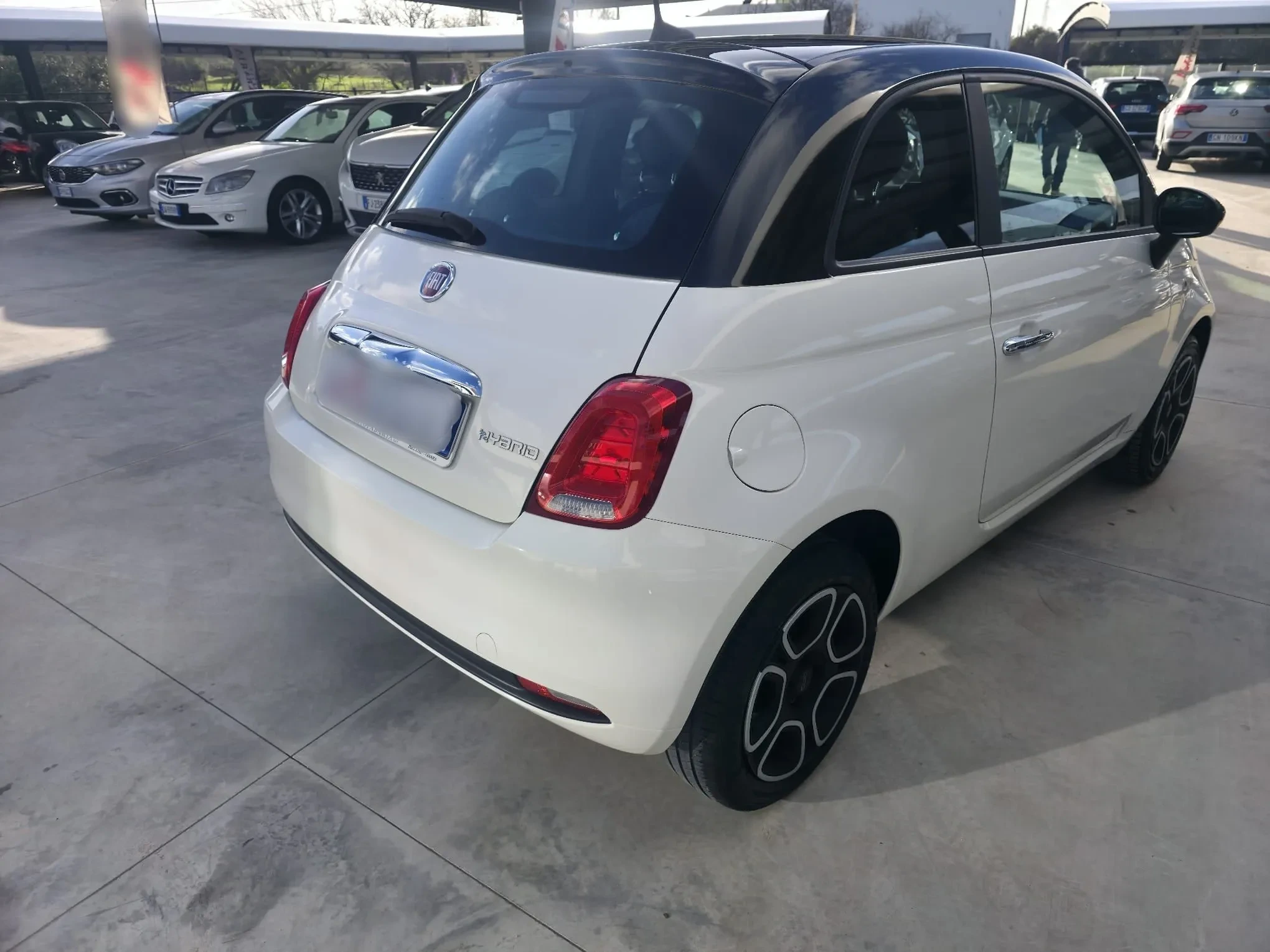 Fiat 500 benzina ibrida foto 6