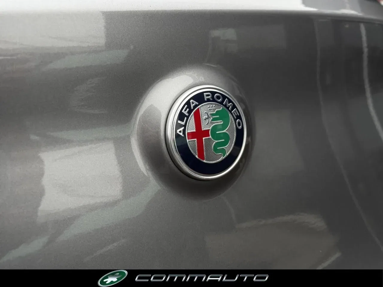 Alfa Romeo Stelvio 2.2 Turbodiesel 190 CV AT8 RWD Business foto 6