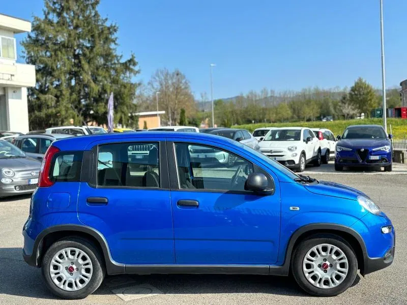 Fiat Panda PROMO 1.0 firefly hybrid s&s 70cv foto 4