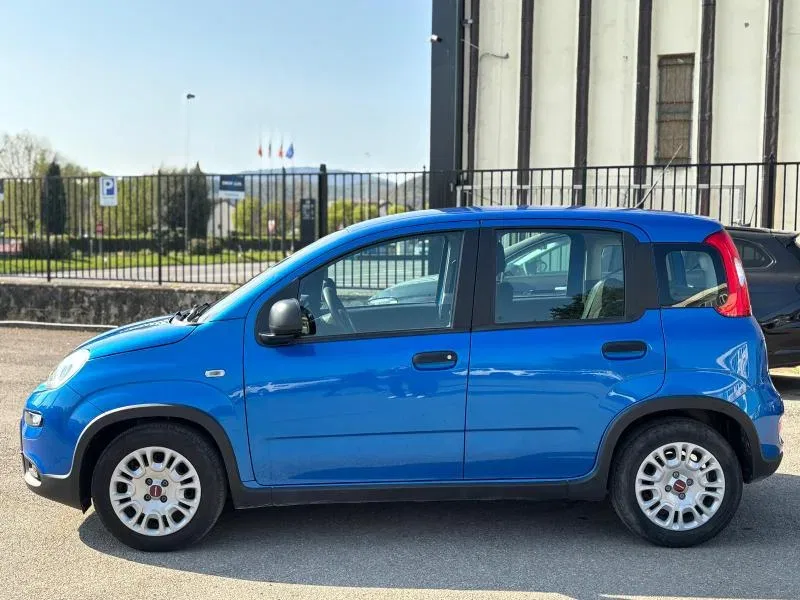 Fiat Panda PROMO 1.0 firefly hybrid s&s 70cv foto 18