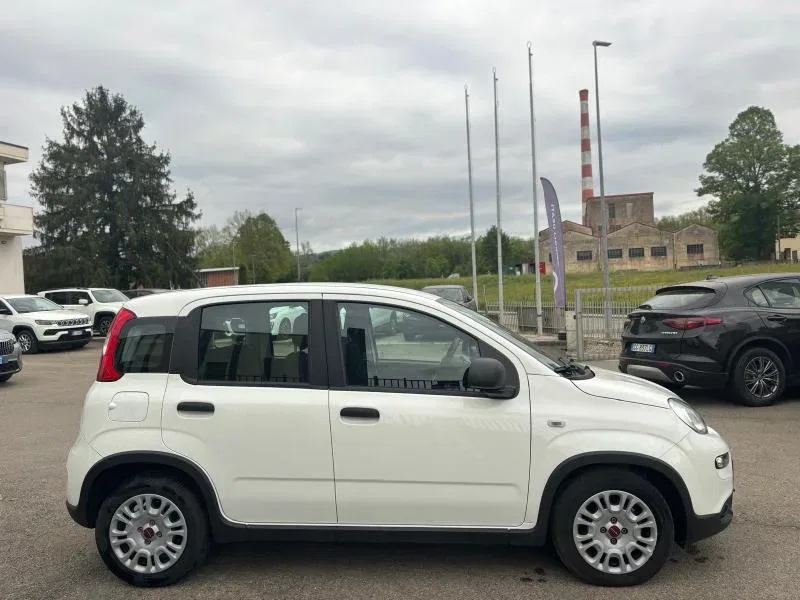 Fiat Panda PROMO 1.0 firefly hybrid s&s 70cv foto 4