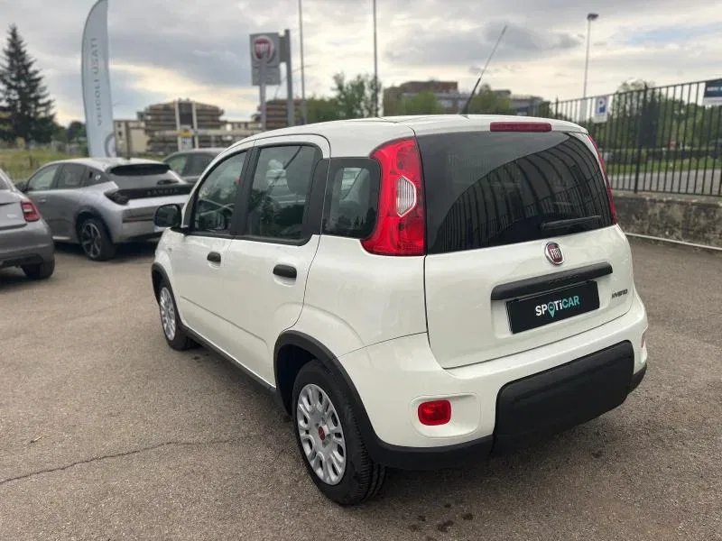 Fiat Panda PROMO 1.0 firefly hybrid s&s 70cv foto 7