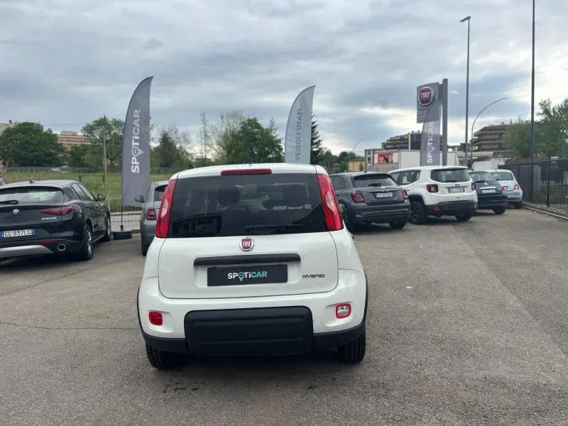 Fiat Panda PROMO 1.0 firefly hybrid s&s 70cv foto 5
