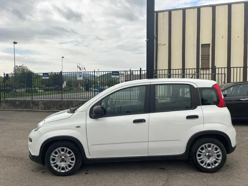 Fiat Panda PROMO 1.0 firefly hybrid s&s 70cv foto 17