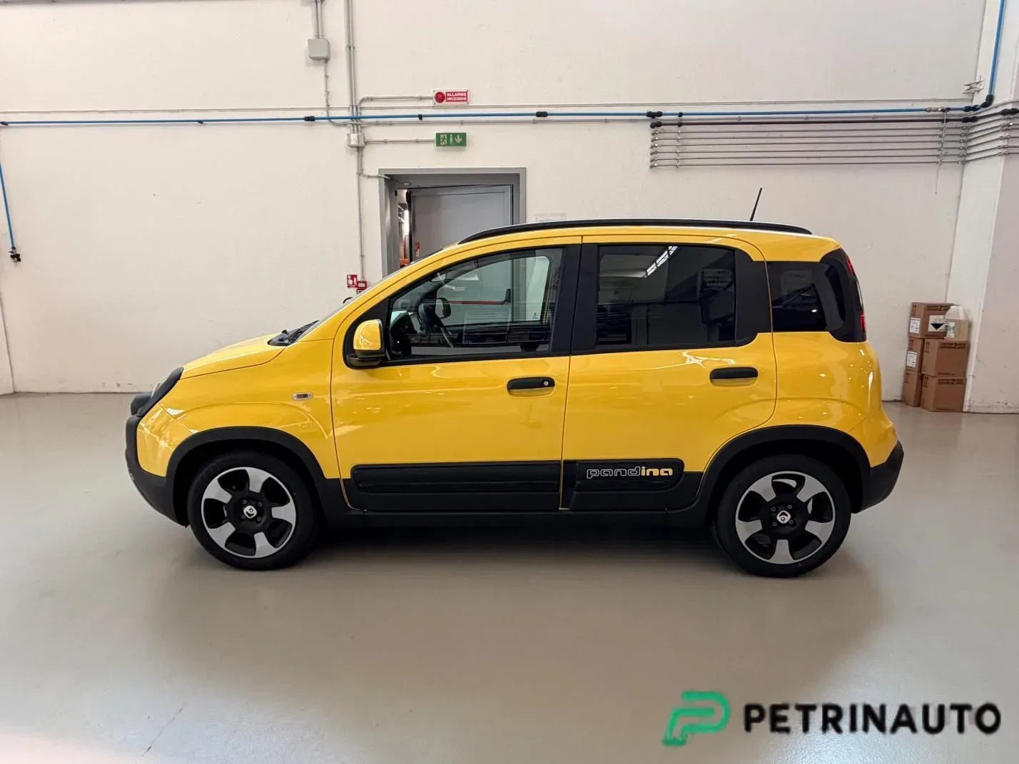Fiat Panda Pandina Cross 1.0 firefly hybrid s&s 65cv foto 5