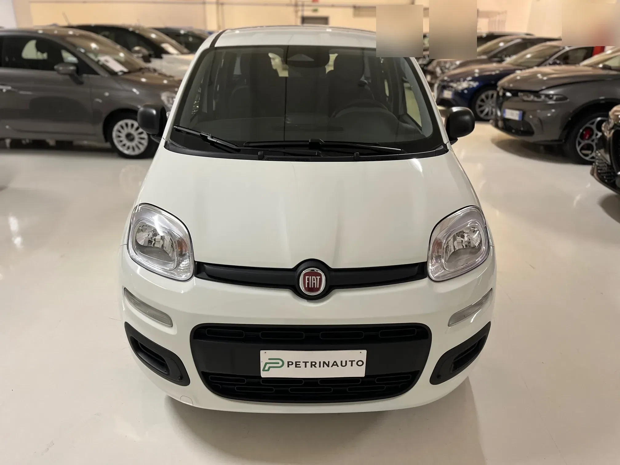 Fiat Panda Pandina 1.0 firefly hybrid Icon s&s 65cv 5p.ti Km0 foto 2