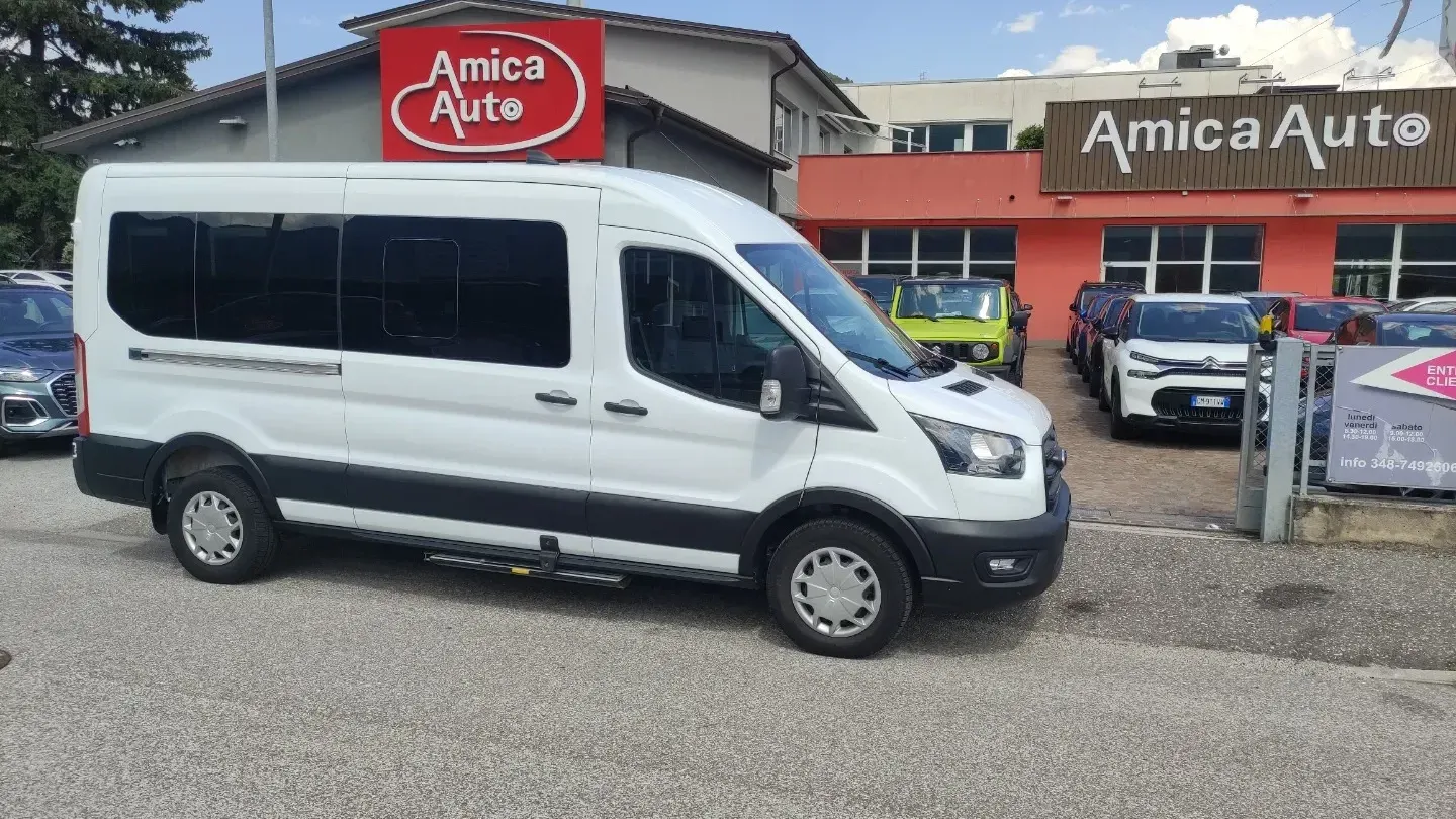 Ford Tran.330 2.0 130 PL-TM Combi Trend