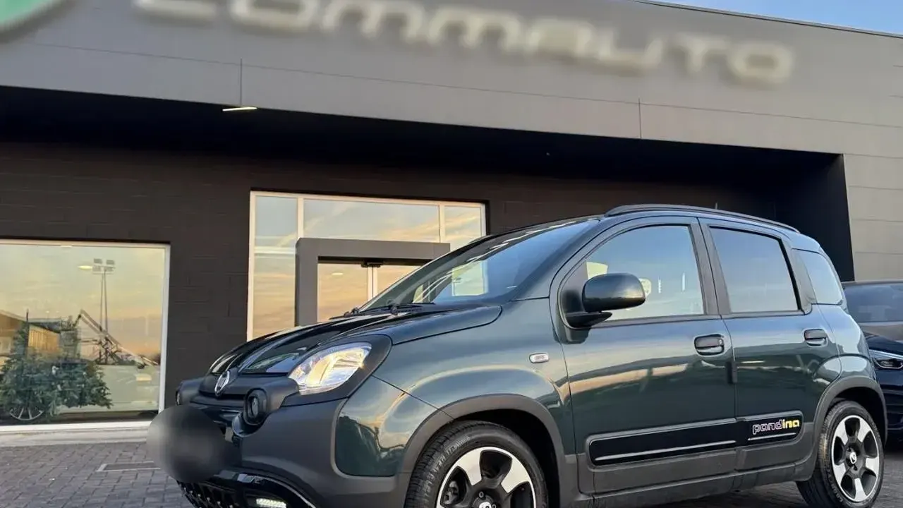 Fiat Panda 1.0 FireFly S&S Hybrid