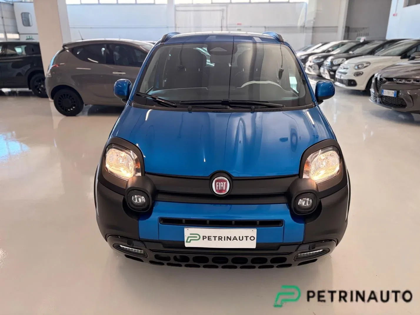 FIAT Panda 1.0 FireFly S&S Hybrid Pandina Cross 5 Posti Km.0 foto 2
