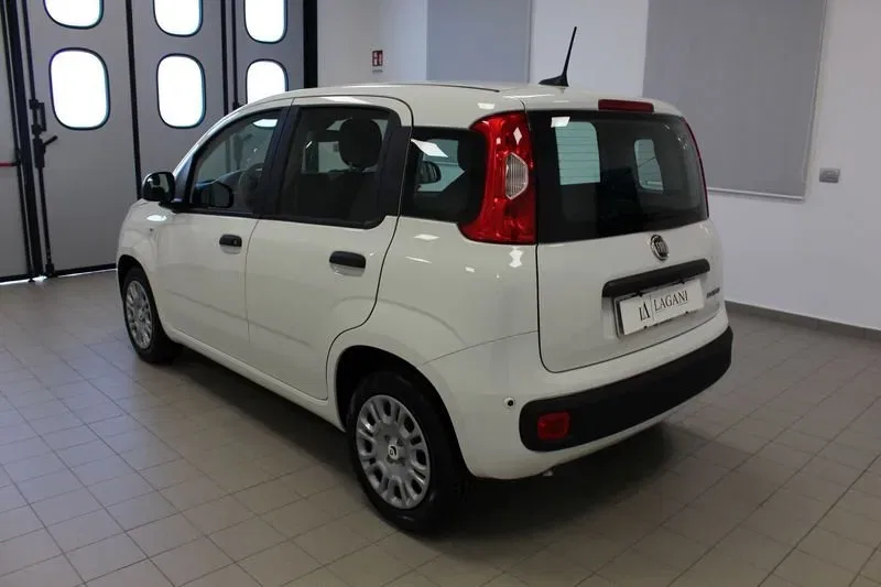 Fiat Panda 1.0 FireFly S&S Hybrid Icon foto 5